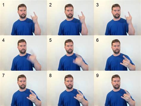 bull shit in asl|BULLSHIT • ASL Dictionary .